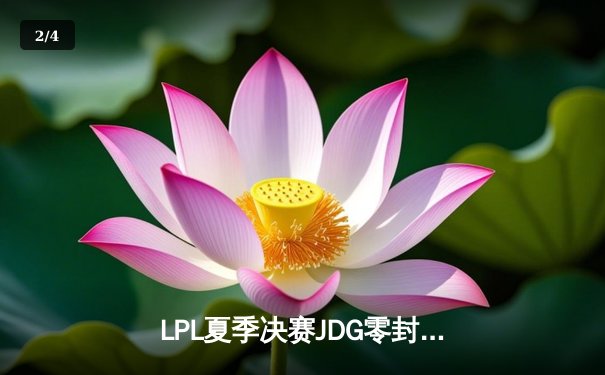 LPL夏季决赛JDG零封TES夺冠，Knight沙皇主宰赛场斩获FMVP - 2